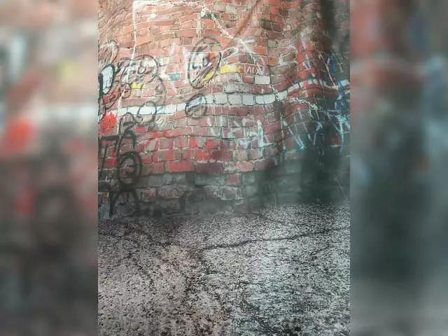 pevicha