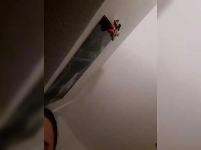 Sarayiooo on BongaCams
