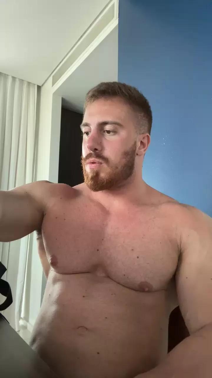 Bigwhitebull