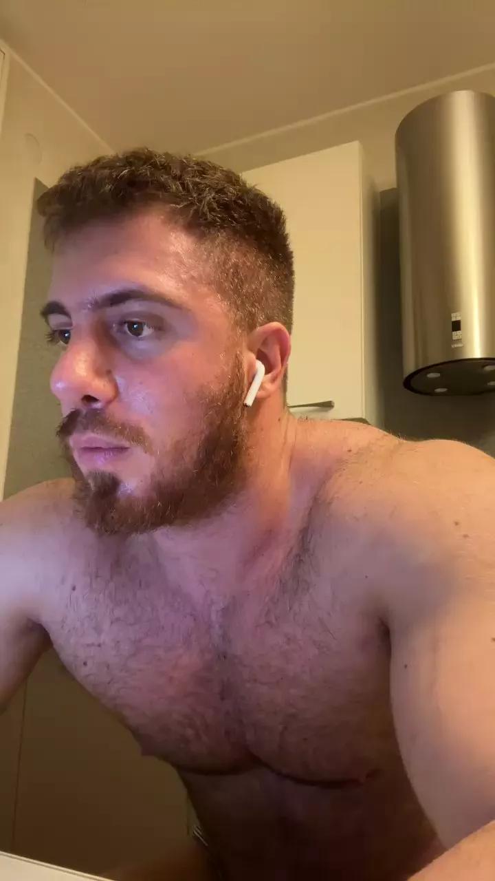 Bigwhitebull
