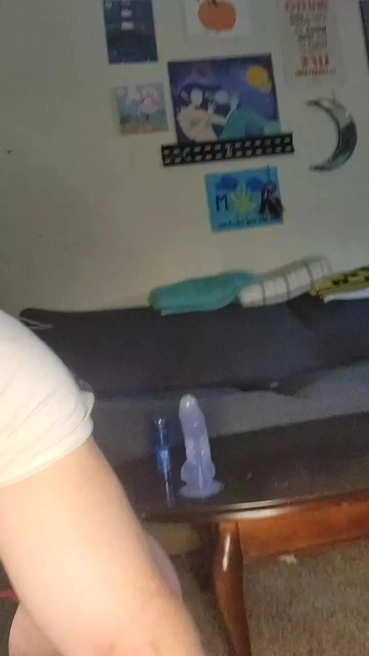 docpalmer