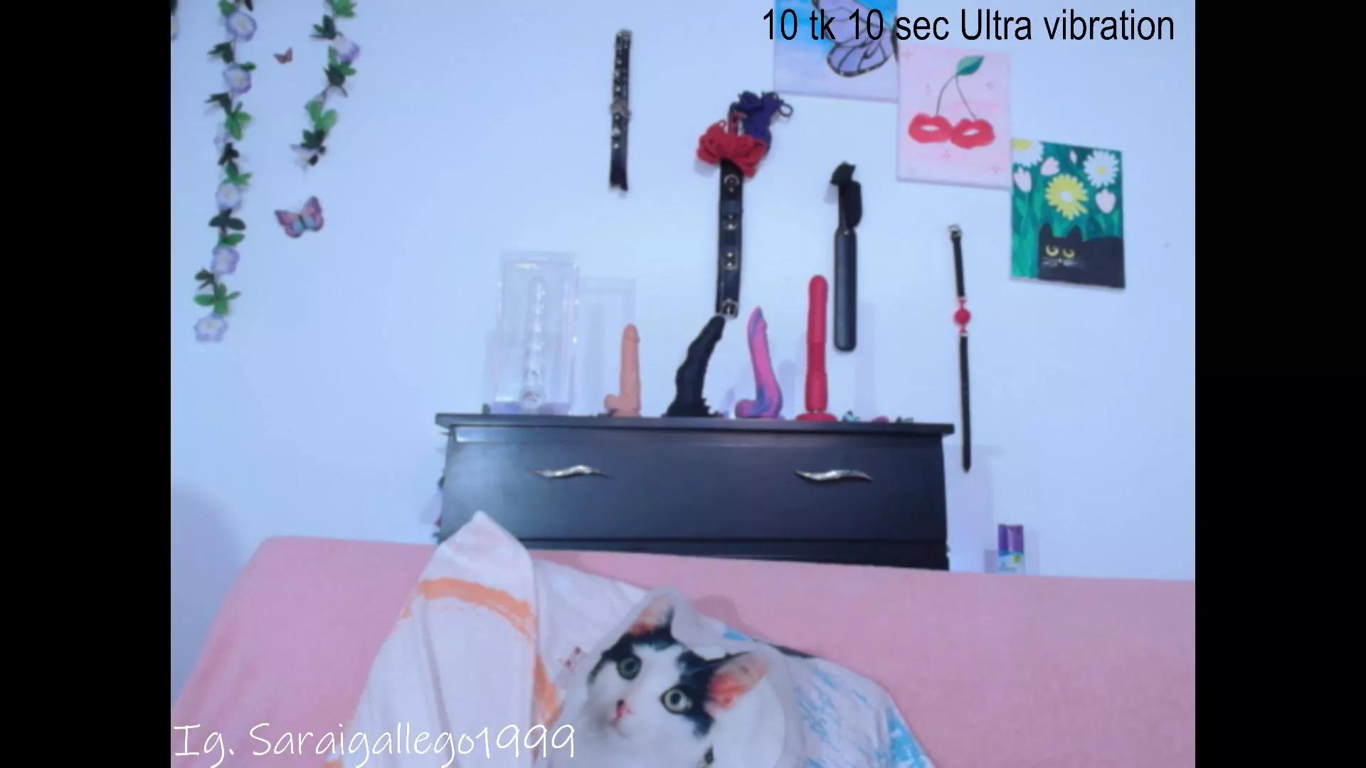 Emilymeow99 from Cam4 is Freechat
