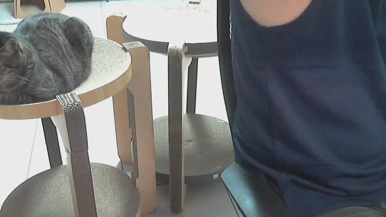 goldstar1990 from Cam4 is Freechat