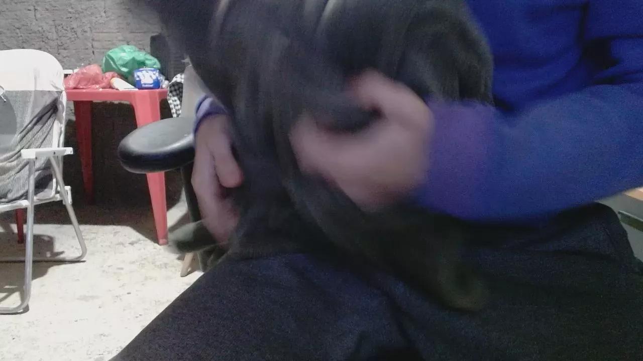 hppnn2