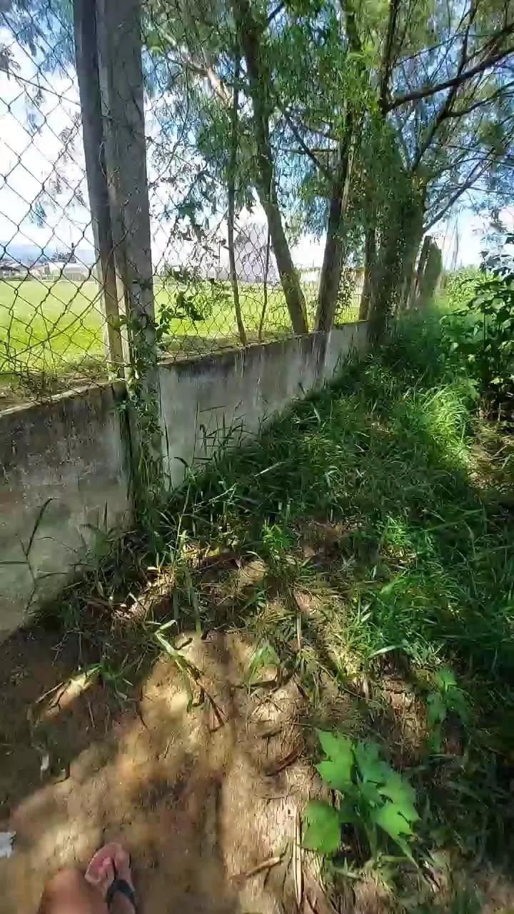 jao_magrao