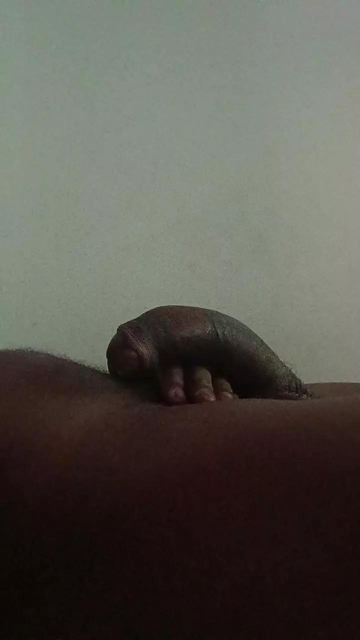 lapada89
