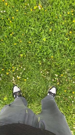 lucapublic