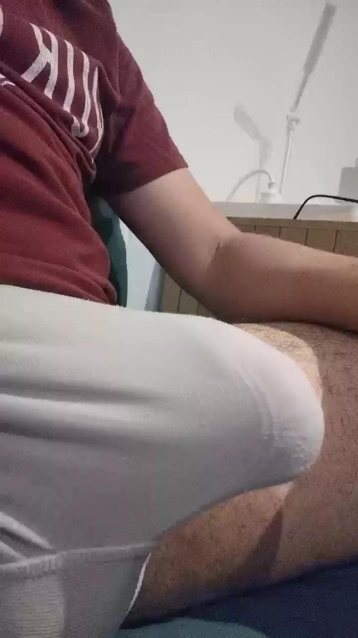 Novinho_2002