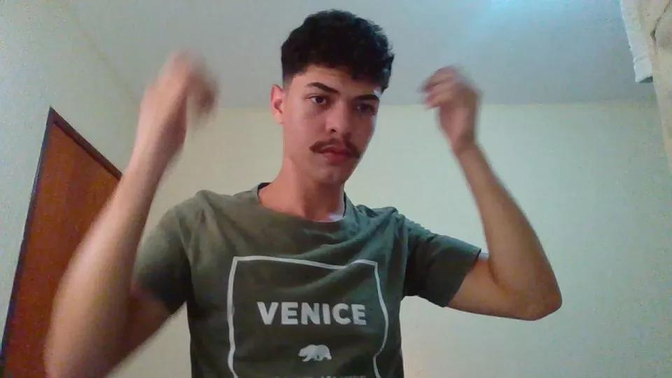 thevincentoy