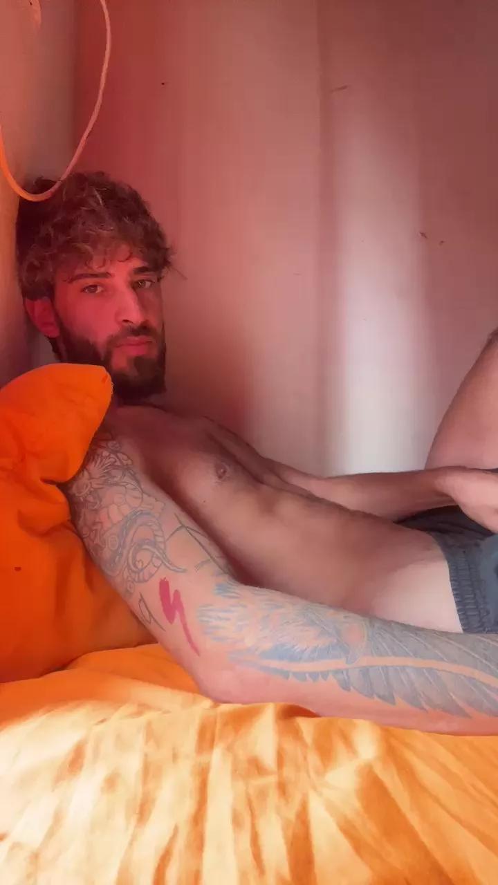 Tlfenix