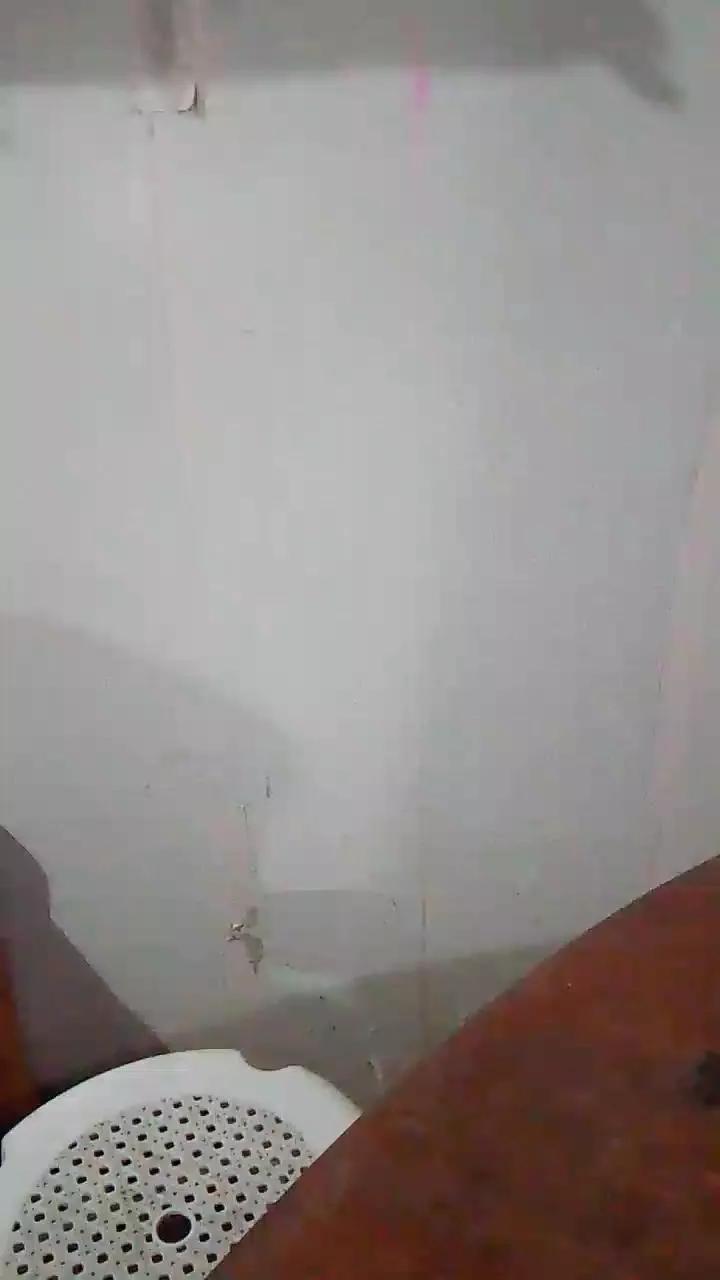 WildLady from Cam4 is Freechat