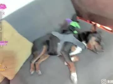 Chaturbate burbuja_cosmic is Freechat burbuja_cosmic —      11, 35, 38, 111  #smalltits #submissive #bdsm #fuckmachine #heels - Neckleace with handcuffs - #bdsm #fuckmachine #latina #lovense #submissive