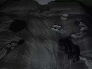 hollygirl88 on Chaturbate 