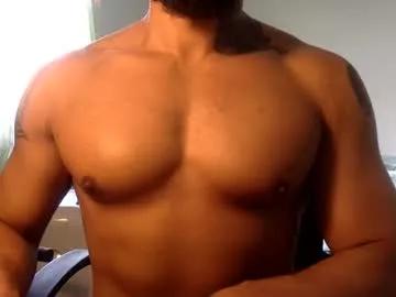 Avatar of hornybbcxx