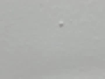 Avatar of katy_and_paola