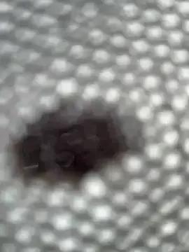 Avatar of eveangelll