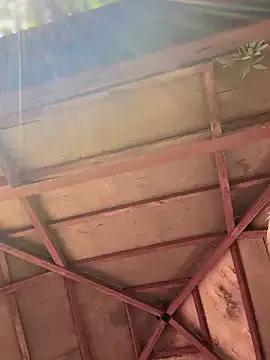 Avatar of LetsFunKARINA