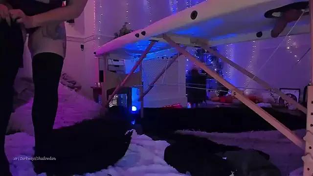 Avatar of LunaWoolfie