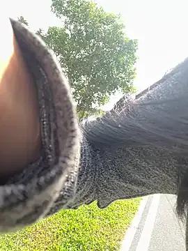 StripChat Winona88 is Freechat Winona88 —  4