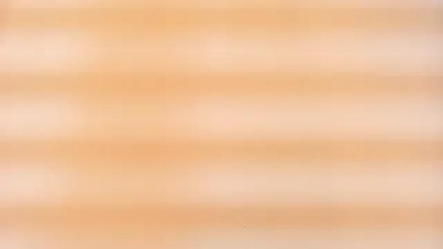 zarah_andrew__ — Great Squart Show the pussy